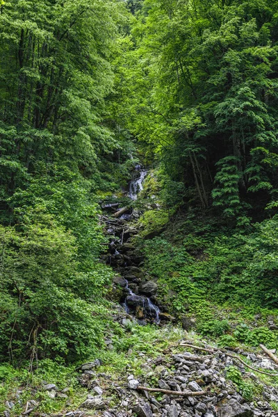 Details Hidden Waterfall Carpathian Mountains Forest — Stock Photo, Image