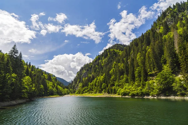 Пейзаж Красивым Озером Горах Паран Румыния — стоковое фото