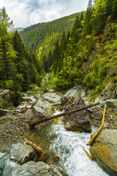 Hermoso Río Montaña Entre Las Rocas Con Agua Cristalina — Foto de Stock