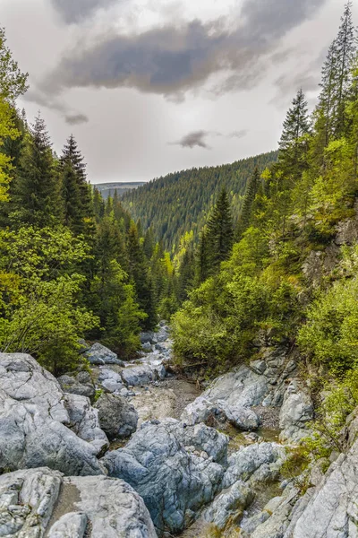 a beautiful mountain river among the rocks with crystal water