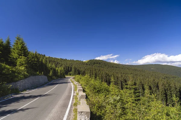 Asphalt Road Going Mountains Pine Forests — Stock Photo, Image