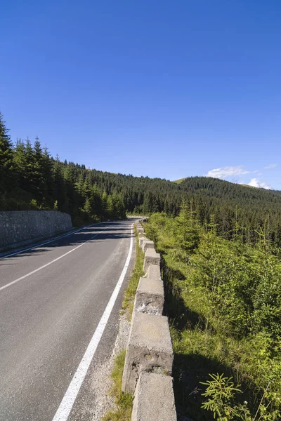 Camino Asfalto Que Las Montañas Través Bosques Pinos —  Fotos de Stock