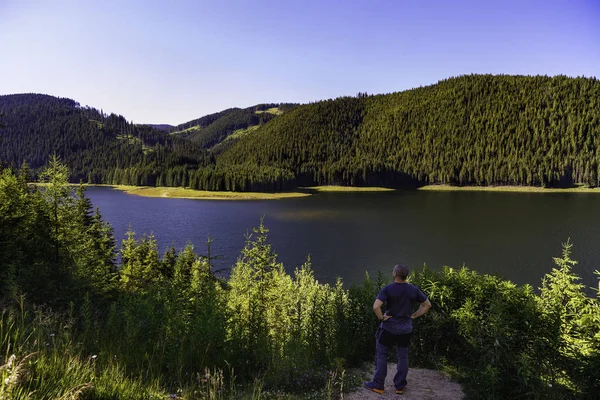 Turistické Pohledu Vidra Přehrady Horách Parang — Stock fotografie