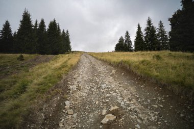 offroad bir yerde Romanya'da dağda ile manzara