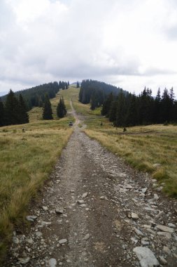 offroad bir yerde Romanya'da dağda ile manzara