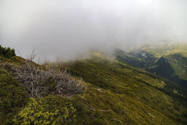 Färgglada Bergsscener Från Karpaterna Rumänien — Stockfoto