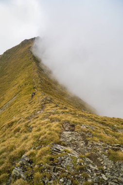 Kayalık dağ zirveleri ile yaz aylarında manzara