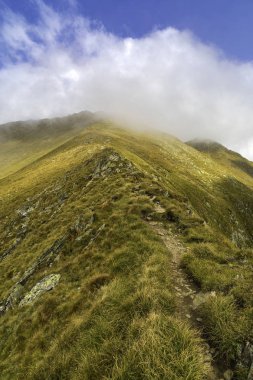 Kayalık dağ zirveleri ile yaz aylarında manzara
