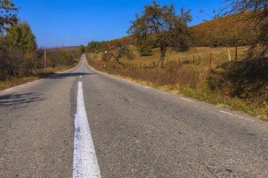 Renkli sonbahar manzara. Karpat Dağları, Romanya, Europe.