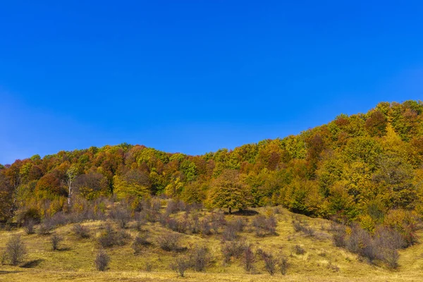 Colorato Paesaggio Autunnale Montagne Carpazie Romania Europa — Foto Stock
