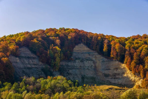 丰富多彩的秋季景观 喀尔巴阡山脉 罗马尼亚 — 图库照片