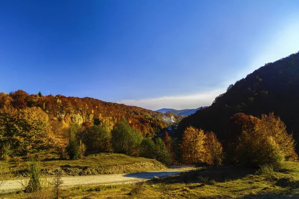 カラフルな秋の風景です カルパティア山脈 ルーマニア ヨーロッパ — ストック写真