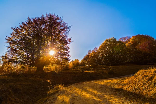 Malebnou Podzimní Krajinou Karpaty Rumunsko Evropa — Stock fotografie