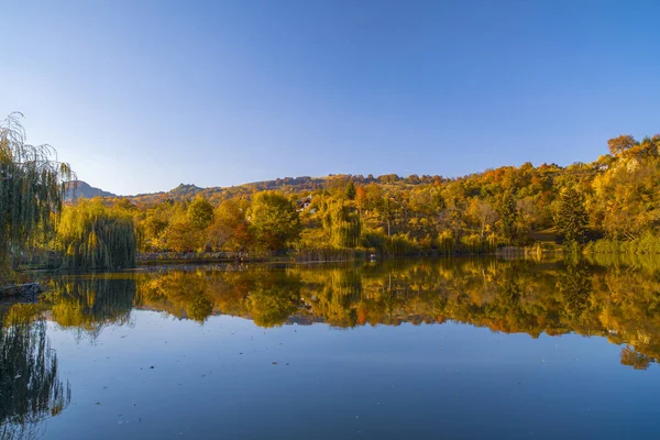 Bela Paisagem Floresta Outono Lago Temporada Outono — Fotografia de Stock