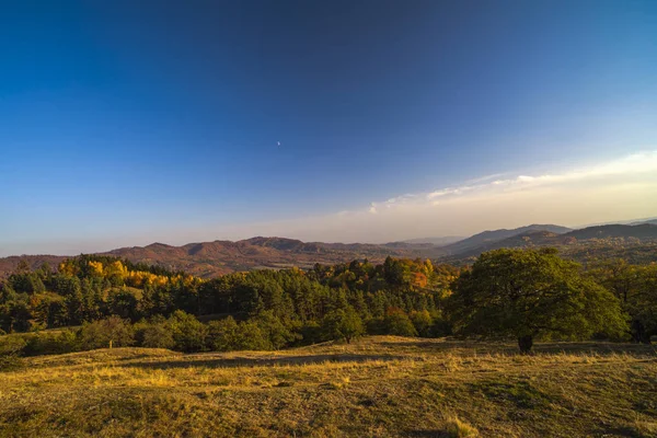 Renkli Sonbahar Manzara Karpat Dağları Romanya Europe — Stok fotoğraf