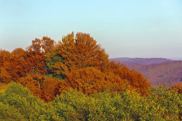 Kleurrijke Herfst Landschap Karpaten Roemenië Europa — Stockfoto
