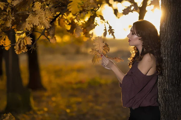 Portrait Beautiful Young Woman Autumn Forest Lifestyle Autumn Fashion Beauty — Stock Photo, Image