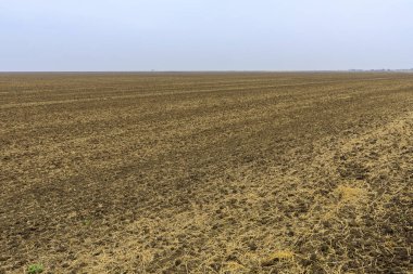 Tarım alanı tohum Ekim için hazır