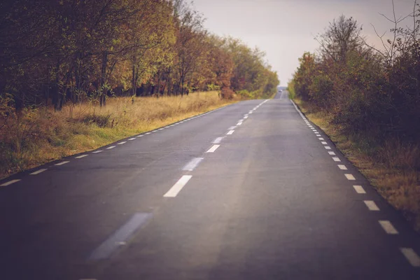 Escena Otoño Con Carretera Bosque —  Fotos de Stock