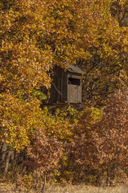 Hayvanlar gözlemleyerek sonbahar orman alanı mükemmel bir yer kulede avcılık