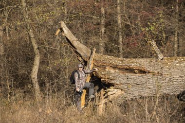 Kamuflaj elbiseli bir adam yanında eski bir meşe düşmüş fırtınadan sonra