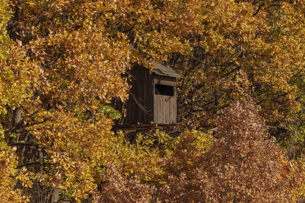 Охотничья Башня Осеннем Лесном Поле Идеальное Место Наблюдения Животными — стоковое фото