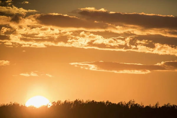 Пейзаж Осіннім Заходом Сонця Над Рослинним Полем — стокове фото