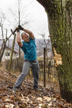 Oduncu işçisi birçok parçalanmak ormanda büyük baltayla kırma ağaç doğrama.