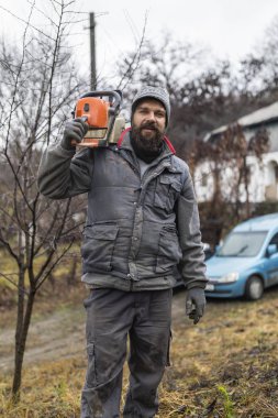 Orman işçisi - oduncu testere ile çalışır. O büyük bir ağaç ormandaki keser.