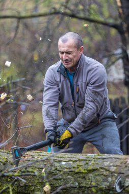 Oduncu işçisi birçok parçalanmak ormanda büyük baltayla kırma ağaç doğrama.