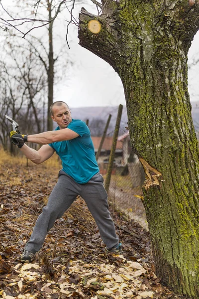 Lumberjack Worker Chopping Tree Breaking Many Splinters Forest Big Axe — Stock Photo, Image