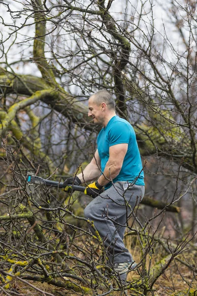Lumberjack Worker Chopping Tree Breaking Many Splinters Forest Big Axe — Stock Photo, Image