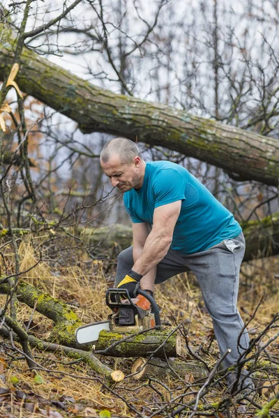 Forestry Worker Lumberjack Works Chainsaw Cuts Big Tree Forest — Stock Photo, Image