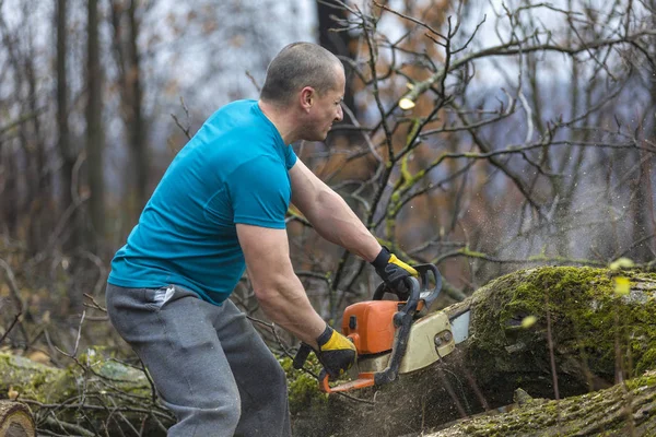 Forestry Worker Lumberjack Works Chainsaw Cuts Big Tree Forest — Stock Photo, Image