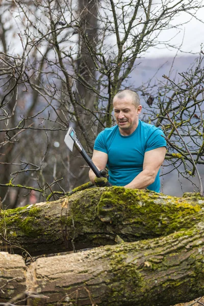 Lumberjack Worker Chopping Tree Breaking Many Splinters Forest Big Axe — Stock Photo, Image