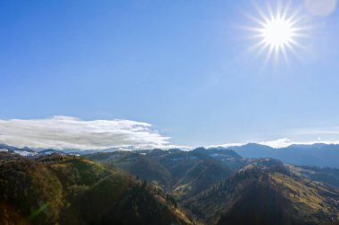 bir meşe bir dağ içinde belgili tanımlık geçmiş sis ve güneşin yukarıdaki ile
