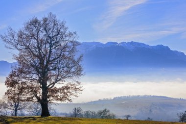 Sisli güneşli bir günde meşe dağda bir arka plan ile sarılmış