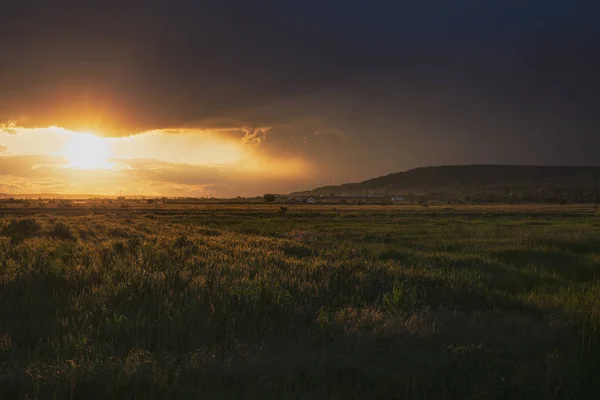 Buğday Alan Üzerinde Dramatik Günbatımı — Stok fotoğraf
