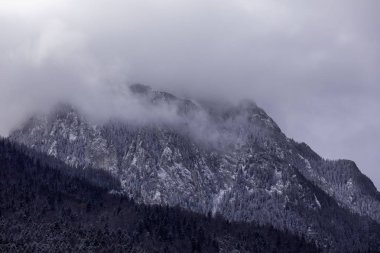 Kış zamanı dağların ve ormanların manzarası.