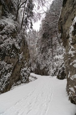 Bir kanyonda karla kaplı bir yol ile manzara