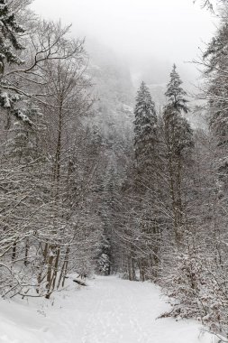 Bir kanyonda karla kaplı bir yol ile manzara