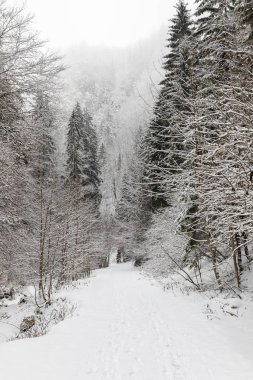 Bir kanyonda karla kaplı bir yol ile manzara