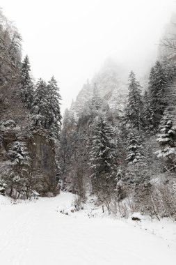 Bir kanyonda karla kaplı bir yol ile manzara