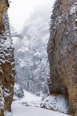 Bir kanyonda karla kaplı bir yol ile manzara