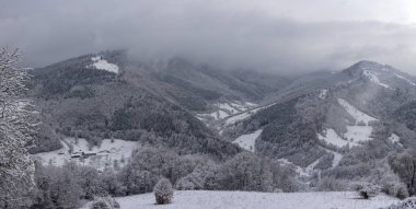 Kış zamanı dağların ve ormanların manzarası.