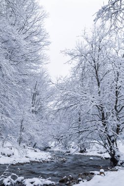 Bir nehir ve soğuk kış manzarası