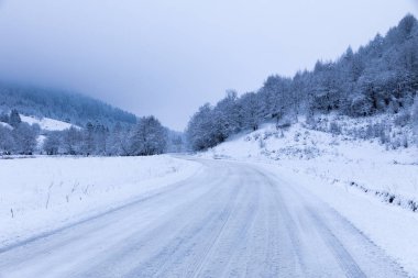 Ormanlar ve dağlar kış aylarında karlı yol