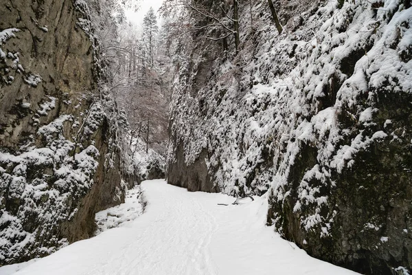 在峡谷中 道路上覆盖着雪的风景 — 图库照片