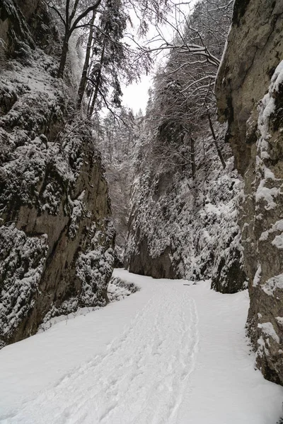 Paisaje Con Camino Cubierto Nieve Través Cañón — Foto de Stock