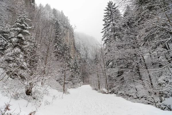 Paesaggio Con Una Strada Coperta Neve Attraverso Canyon — Foto Stock